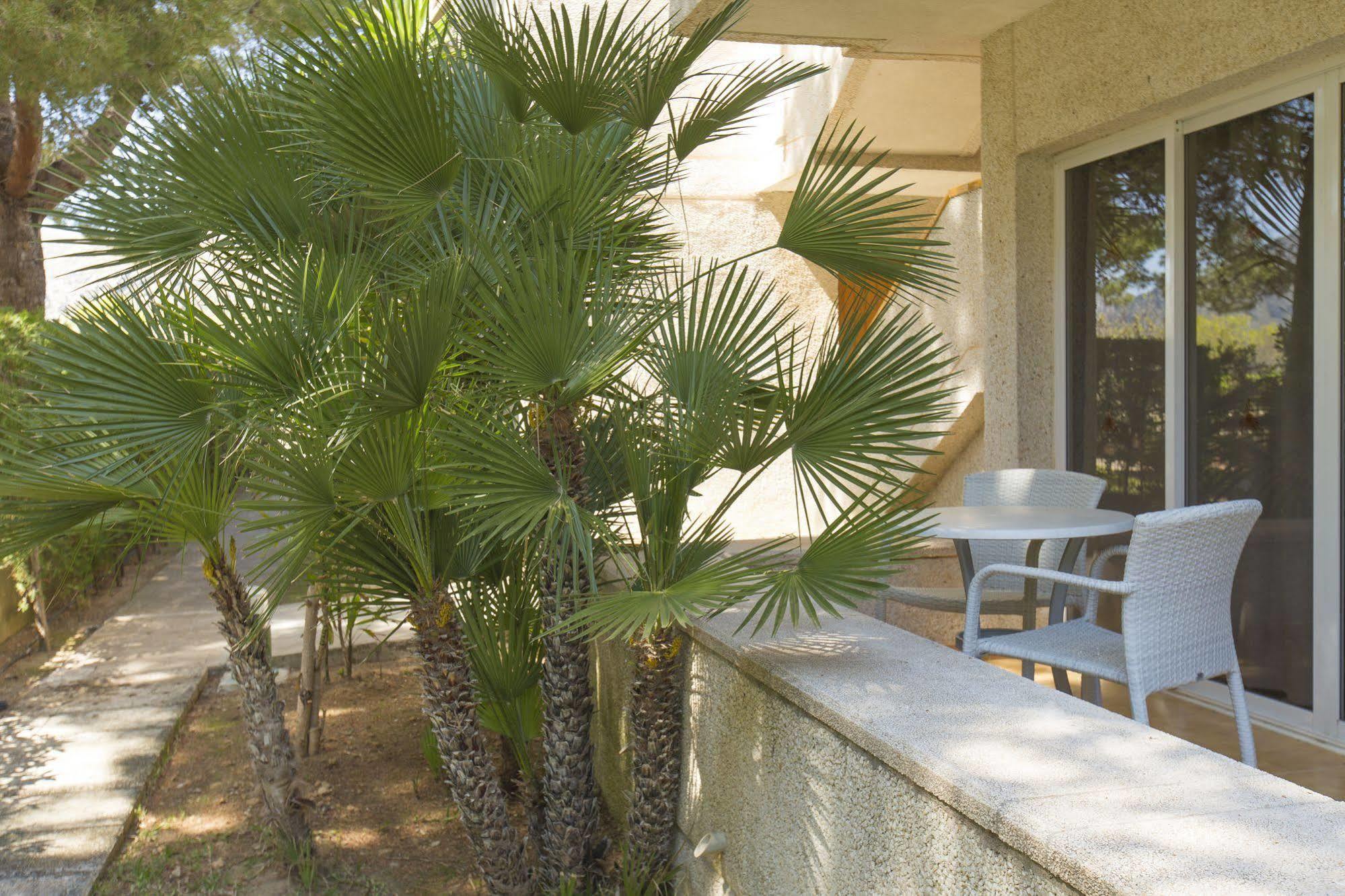 Apartamentos Massol Puerto Pollensa Exterior foto